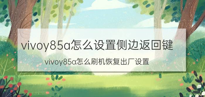 vivoy85a怎么设置侧边返回键 vivoy85a怎么刷机恢复出厂设置？